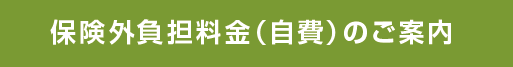 保険外負担料金（自費）ご案内